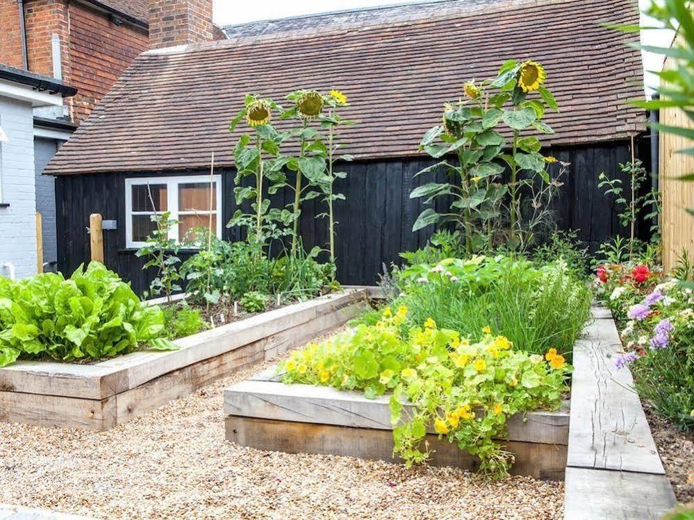 The Horse & Cart Hotel Peasmarsh Exterior photo